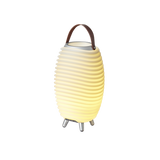 Kooduu Synergy 35 Bluetooth speaker, LED lamp and drink cooler