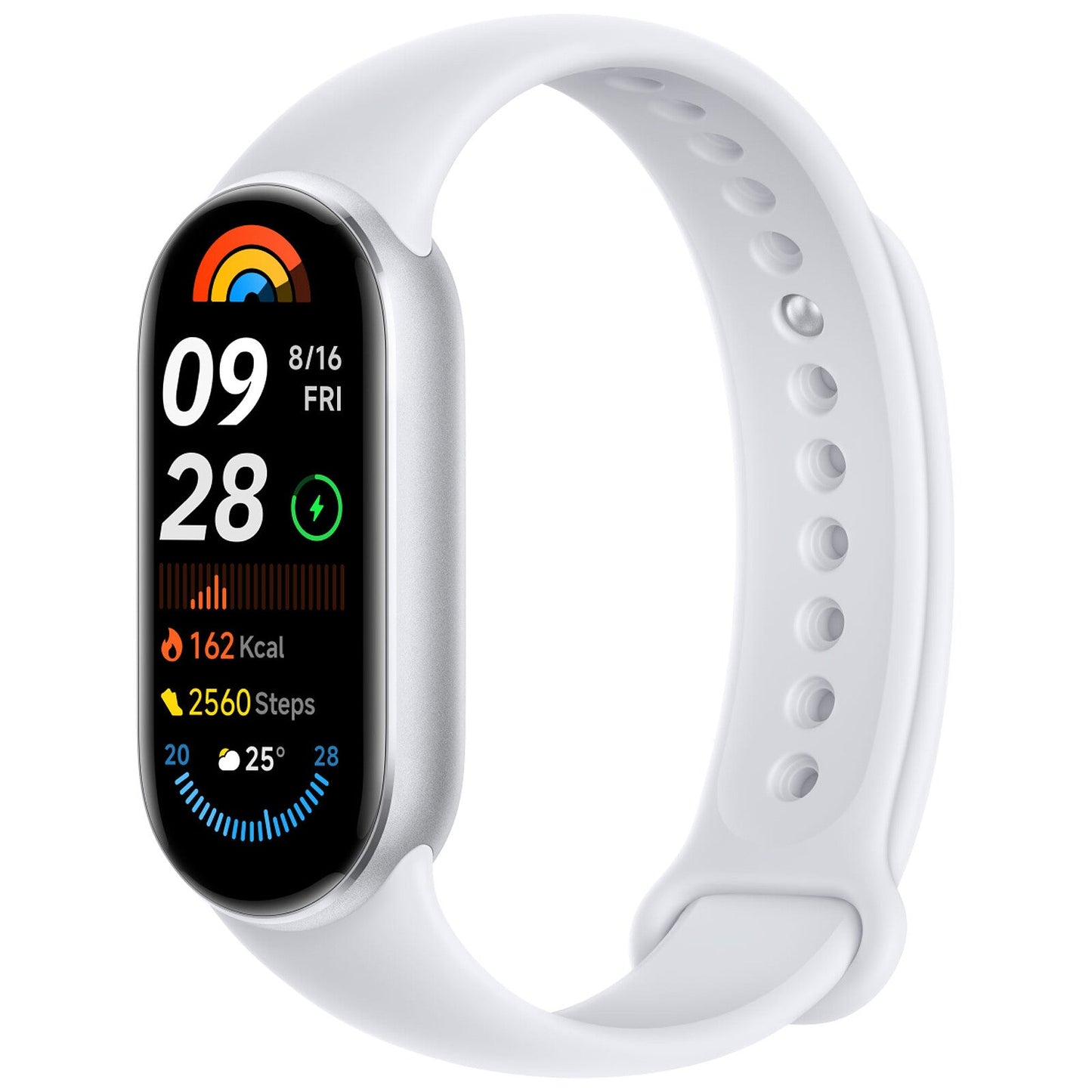 Xiaomi Smart Band 9 (Global Edition)